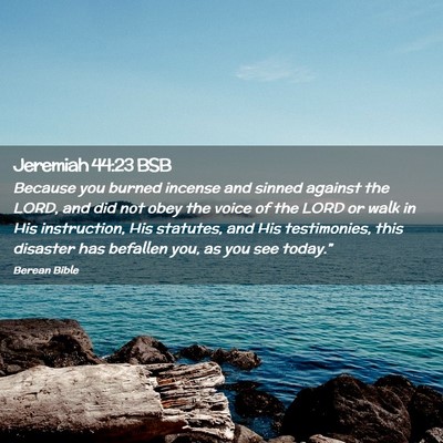 Picture 02 - Jeremiah 44:23 BSB - Because you burned incense and sinned against the - Bible Verse Picture
