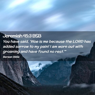 Picture 02 - Jeremiah 45:3 BSB - You have said, ‘Woe is me because the LORD has - Bible Verse Picture