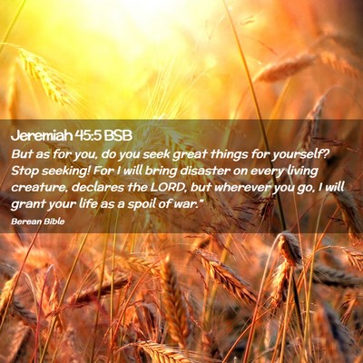 Picture 02 - Jeremiah 45:5 BSB - But as for you, do you seek great things for - Bible Verse Picture