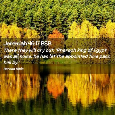 Picture 02 - Jeremiah 46:17 BSB - There they will cry out: ‘Pharaoh king of Egypt - Bible Verse Picture