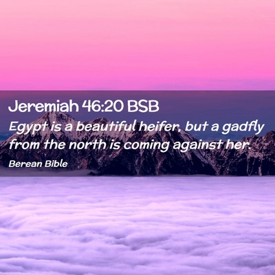 Picture 02 - Jeremiah 46:20 BSB - Egypt is a beautiful heifer, but a gadfly from - Bible Verse Picture