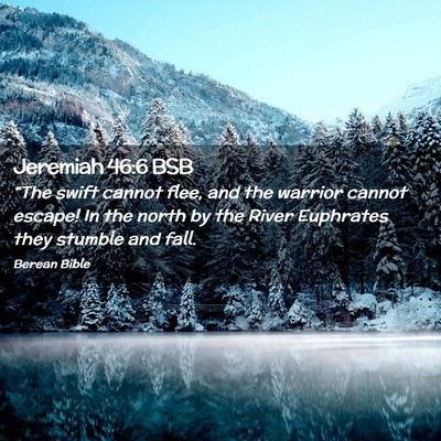 Picture 02 - Jeremiah 46:6 BSB - “The swift cannot flee, and the warrior cannot - Bible Verse Picture