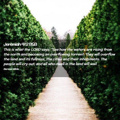 Picture 02 - Jeremiah 47:2 BSB - This is what the LORD says: “See how the waters - Bible Verse Picture