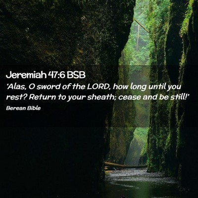 Picture 02 - Jeremiah 47:6 BSB - ‘Alas, O sword of the LORD, how long until you - Bible Verse Picture