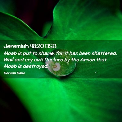 Picture 02 - Jeremiah 48:20 BSB - Moab is put to shame, for it has been shattered. - Bible Verse Picture