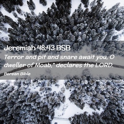 Picture 02 - Jeremiah 48:43 BSB - Terror and pit and snare await you, O dweller of - Bible Verse Picture