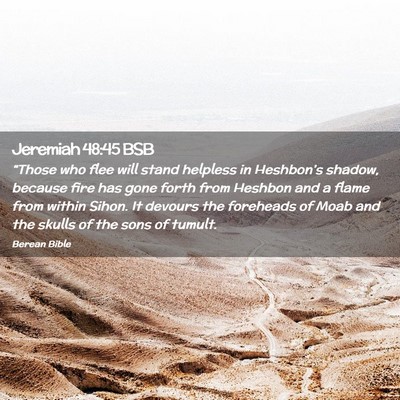 Picture 02 - Jeremiah 48:45 BSB - “Those who flee will stand helpless in - Bible Verse Picture