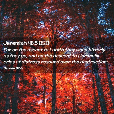 Picture 02 - Jeremiah 48:5 BSB - For on the ascent to Luhith they weep bitterly as - Bible Verse Picture