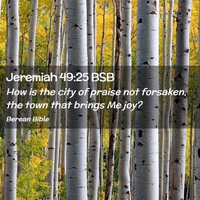 Picture 02 - Jeremiah 49:25 BSB - How is the city of praise not forsaken, the town - Bible Verse Picture