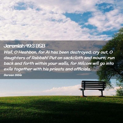 Picture 02 - Jeremiah 49:3 BSB - Wail, O Heshbon, for Ai has been destroyed; cry - Bible Verse Picture