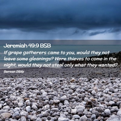 Picture 02 - Jeremiah 49:9 BSB - If grape gatherers came to you, would they not - Bible Verse Picture