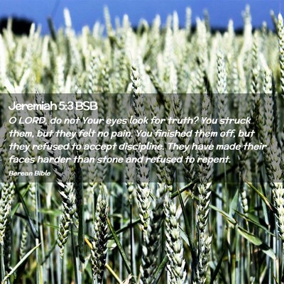 Picture 02 - Jeremiah 5:3 BSB - O LORD, do not Your eyes look for truth? You - Bible Verse Picture