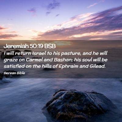 Picture 02 - Jeremiah 50:19 BSB - I will return Israel to his pasture, and he will - Bible Verse Picture