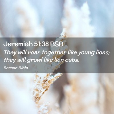 Picture 02 - Jeremiah 51:38 BSB - They will roar together like young lions; they - Bible Verse Picture