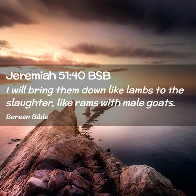 Picture 02 - Jeremiah 51:40 BSB - I will bring them down like lambs to the - Bible Verse Picture
