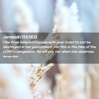 Picture 02 - Jeremiah 51:6 BSB - Flee from Babylon! Escape with your lives! Do not - Bible Verse Picture