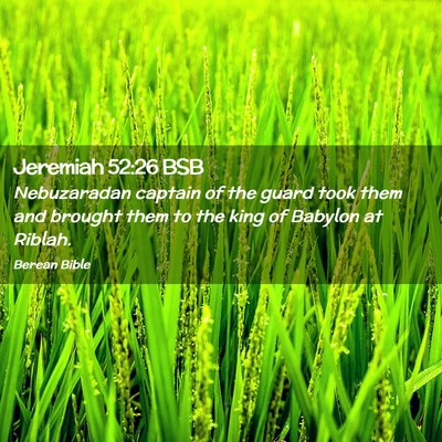 Picture 02 - Jeremiah 52:26 BSB - Nebuzaradan captain of the guard took them and - Bible Verse Picture