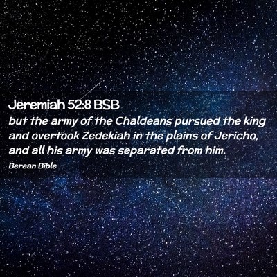 Picture 02 - Jeremiah 52:8 BSB - but the army of the Chaldeans pursued the king - Bible Verse Picture
