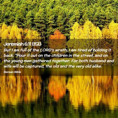 Picture 02 - Jeremiah 6:11 BSB - But I am full of the LORD’s wrath; I am tired - Bible Verse Picture