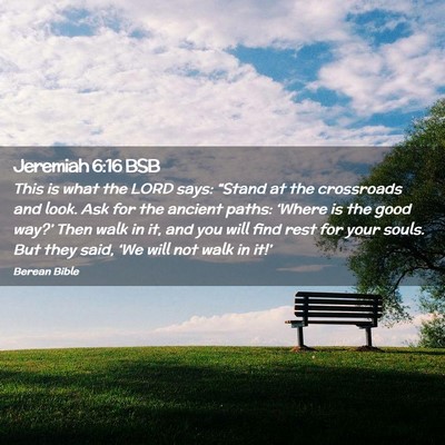 Picture 02 - Jeremiah 6:16 BSB - This is what the LORD says: “Stand at the - Bible Verse Picture