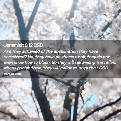 Picture 02 - Jeremiah 8:12 BSB - Are they ashamed of the abomination they have - Bible Verse Picture