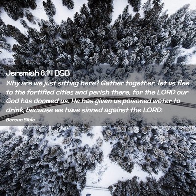 Picture 02 - Jeremiah 8:14 BSB - Why are we just sitting here? Gather together, - Bible Verse Picture