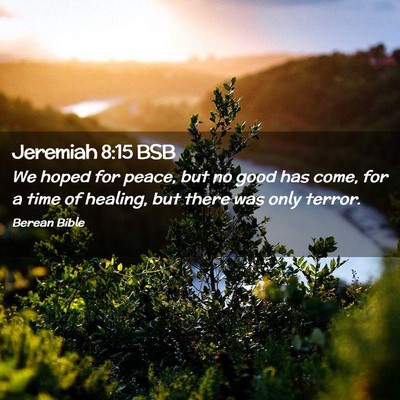 Picture 02 - Jeremiah 8:15 BSB - We hoped for peace, but no good has come, for a - Bible Verse Picture