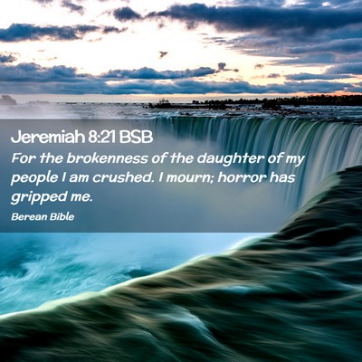 Picture 02 - Jeremiah 8:21 BSB - For the brokenness of the daughter of my people I - Bible Verse Picture