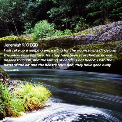 Picture 02 - Jeremiah 9:10 BSB - I will take up a weeping and wailing for the - Bible Verse Picture