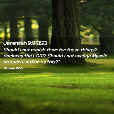 Picture 02 - Jeremiah 9:9 BSB - Should I not punish them for these things? - Bible Verse Picture