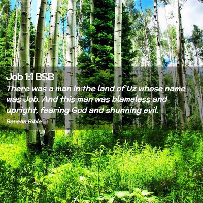 Picture 02 - Job 1:1 BSB - There was a man in the land of Uz whose name was - Bible Verse Picture