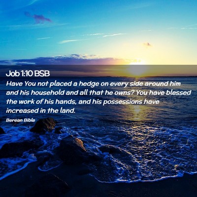 Picture 02 - Job 1:10 BSB - Have You not placed a hedge on every side around - Bible Verse Picture