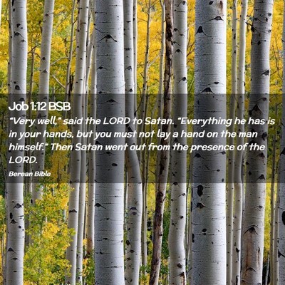 Picture 02 - Job 1:12 BSB - “Very well,” said the LORD to Satan. - Bible Verse Picture