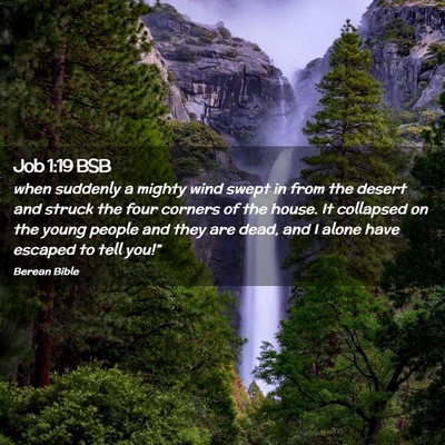 Picture 02 - Job 1:19 BSB - when suddenly a mighty wind swept in from the - Bible Verse Picture