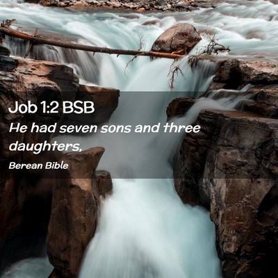 Picture 02 - Job 1:2 BSB - He had seven sons and three - Bible Verse Picture