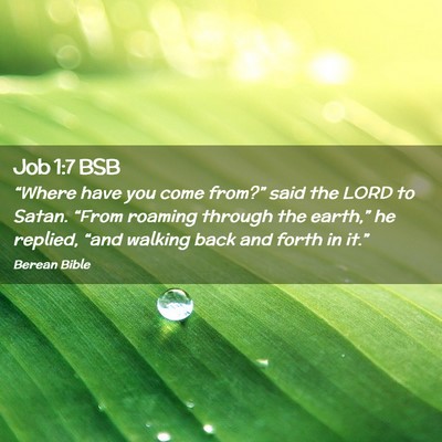 Picture 02 - Job 1:7 BSB - “Where have you come from?” said the LORD to - Bible Verse Picture