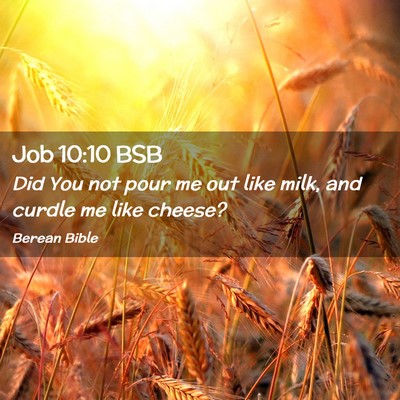 Picture 02 - Job 10:10 BSB - Did You not pour me out like milk, and curdle me - Bible Verse Picture