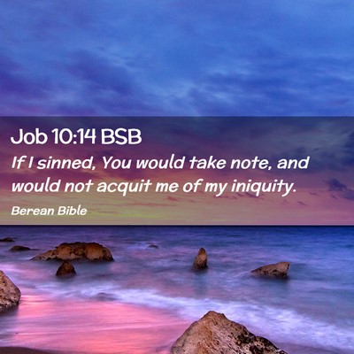 Picture 02 - Job 10:14 BSB - If I sinned, You would take note, and would not - Bible Verse Picture