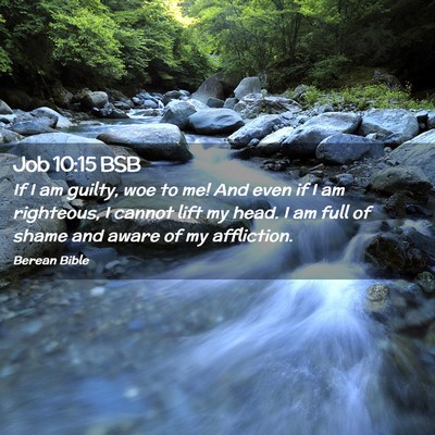 Picture 02 - Job 10:15 BSB - If I am guilty, woe to me! And even if I am - Bible Verse Picture