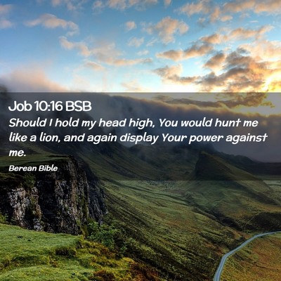 Picture 02 - Job 10:16 BSB - Should I hold my head high, You would hunt me - Bible Verse Picture