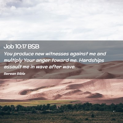 Picture 02 - Job 10:17 BSB - You produce new witnesses against me and multiply - Bible Verse Picture