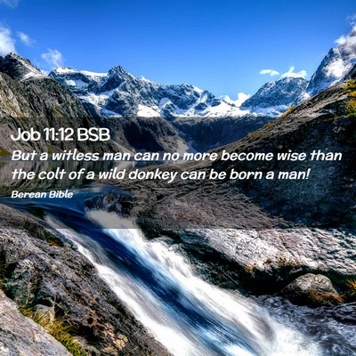Picture 02 - Job 11:12 BSB - But a witless man can no more become wise than - Bible Verse Picture
