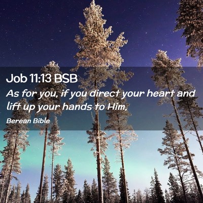 Picture 02 - Job 11:13 BSB - As for you, if you direct your heart and lift up - Bible Verse Picture