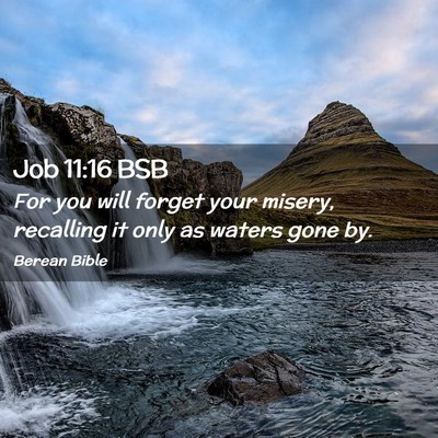 Picture 02 - Job 11:16 BSB - For you will forget your misery, recalling it - Bible Verse Picture