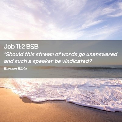 Picture 02 - Job 11:2 BSB - “Should this stream of words go unanswered and - Bible Verse Picture