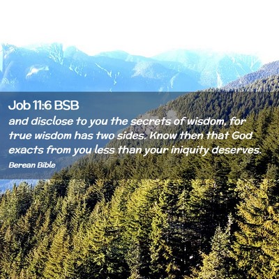 Picture 02 - Job 11:6 BSB - and disclose to you the secrets of wisdom, for - Bible Verse Picture