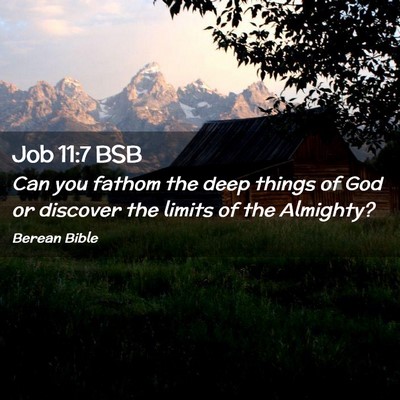 Picture 02 - Job 11:7 BSB - Can you fathom the deep things of God or discover - Bible Verse Picture