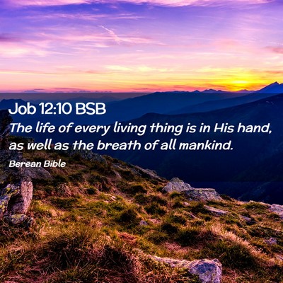 Picture 02 - Job 12:10 BSB - The life of every living thing is in His hand, as - Bible Verse Picture