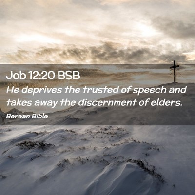 Picture 02 - Job 12:20 BSB - He deprives the trusted of speech and takes away - Bible Verse Picture
