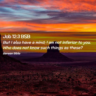 Picture 02 - Job 12:3 BSB - But I also have a mind; I am not inferior to you. - Bible Verse Picture